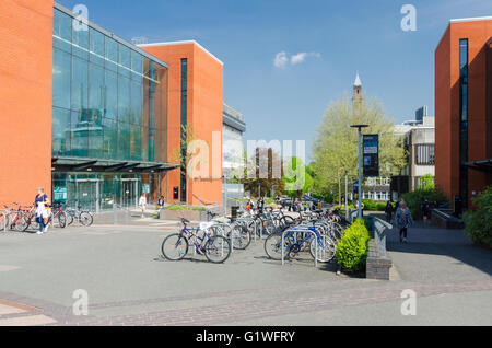 Moderne Gebäude, darunter das Learning Centre auf Campus der University of Birmingham Stockfoto