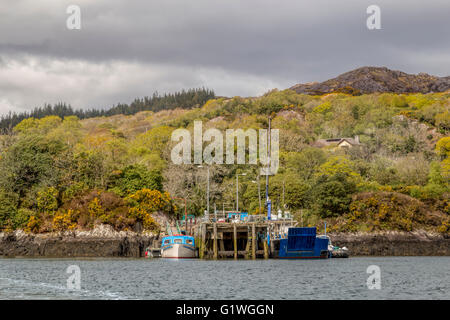 Mit der Fähre Hafen Queen II am Bootssteg in Glengarriff auf Bantry Bay, Beara Halbinsel, Co. Cork, Provinz Munster, Irland. Stockfoto