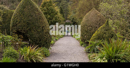 Frau exploring The Walled Garden Garnish Island oder Illnaculin in Bantry Bay, Beara Halbinsel, County Cork, Irland. Stockfoto