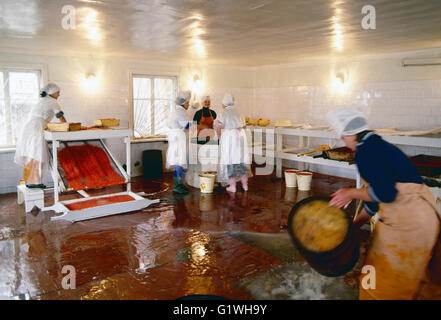 Arbeitnehmerinnen in Lachs Fisch verarbeitenden Pflanzen Reinigung Kaviar; Sibirien; Tschuktschen-Halbinsel; Magadan Region; Russische Föderation Stockfoto