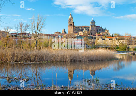 Salamanca - der Kathedrale und des Rio Tormes-Flusses. Stockfoto