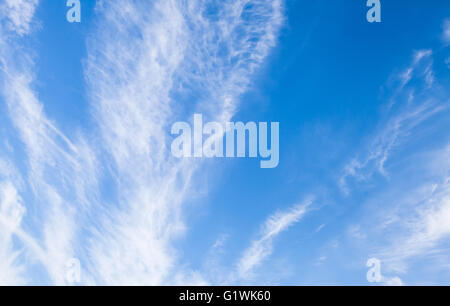 Cirruswolken in strahlend blauen Himmel, natürliche Hintergrundtextur Foto Stockfoto