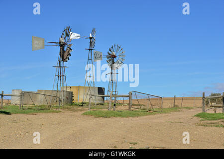 Wind-Pumpe auf einer Farm in Südafrika Stockfoto