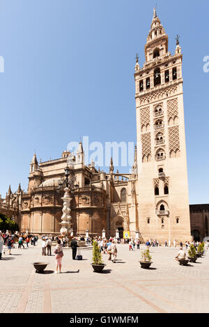 La Giralda, bell Turm der Kathedrale von Sevilla an der Plaza del Triunfo, Sevilla, Spanien Stockfoto