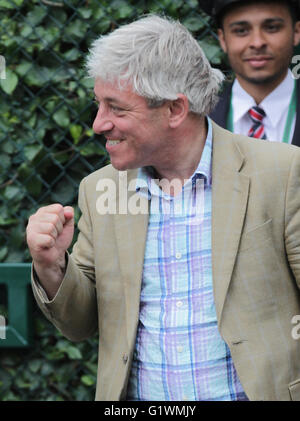 LONDON, UK, 12. Juli 2015: John Bercow Speaker des House Of Commons in Wimbledon Championships 2015 gesehen Stockfoto