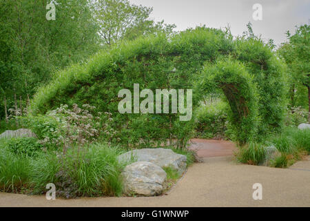 Willow Wohnskulptur in voller Blatt, im englischen Garten am Queen Elizabeth Olympic Park, London, UK Stockfoto