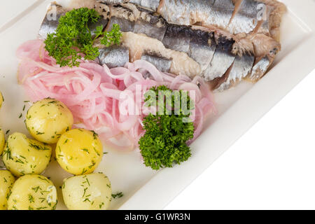 Closeup marinierter Hering mit Zwiebeln und Kugeln der Kartoffel Vorspeise zum Abendessen, catering, auf weißen Teller serviert Stockfoto