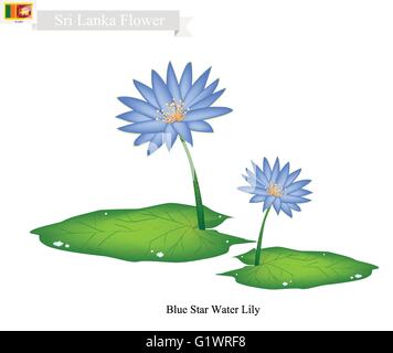 Sri Lanka Blume, Illustration von Blue Star Seerose. Die nationale Blume von Sri Lanka. Stock Vektor