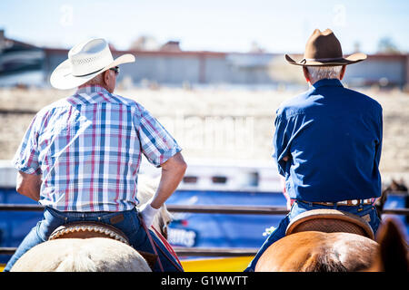 Wickenburg, USA - 5. Februar 2013: Fahrer konkurrieren in einem Team roping Wettbewerb in Wickenburg, Arizona, USA Stockfoto