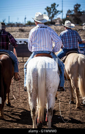 Wickenburg, USA - 5. Februar 2013: Fahrer konkurrieren in einem Team roping Wettbewerb in Wickenburg, Arizona, USA Stockfoto