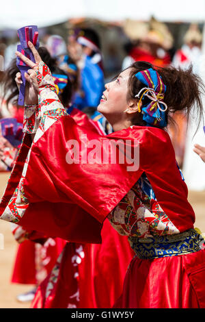 Japanische junge Frau Tänzerin in glänzend hell rot Traditionelle happi Mantel tanzen und Holding naruko, hölzerne Klöppel, während Yosakoi Dance Festival. Stockfoto