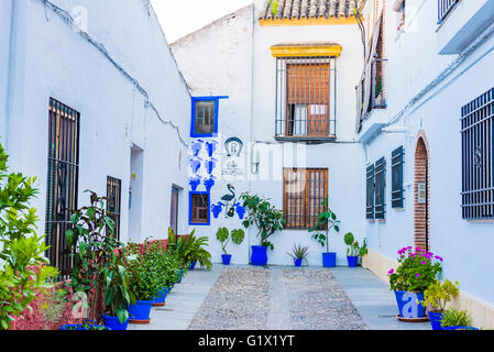 Duartas Straße. Córdoba, Andalusien, Spanien, Europa Stockfoto
