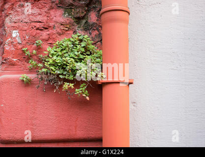 Rot bemalte Wand und Rohr in Karakoy/Istanbul Stockfoto