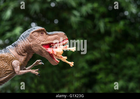 gigantische Tyrannosaurus fängt einen kleineren Dinosaurier Stockfoto