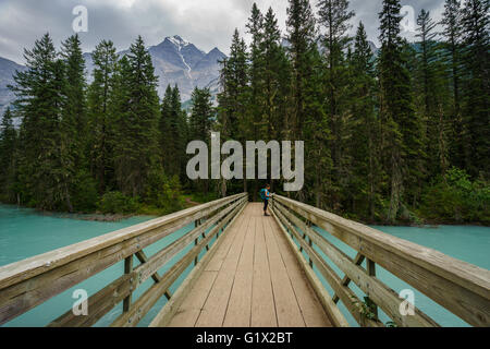 Teenager-Mädchen auf Fussgängerbrücke entlang der Berg Lake Trail, Mount Robson Provincial Park, Britisch-Kolumbien Stockfoto