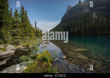 Lake O'Hara, Yoho-Nationalpark, Kanadische Rocky Mountains, British Columbia Stockfoto