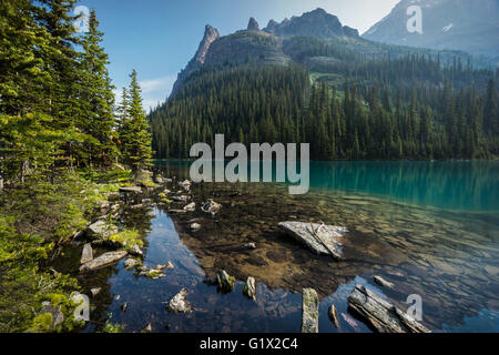 Lake O'Hara, Yoho-Nationalpark, Kanadische Rocky Mountains, British Columbia Stockfoto
