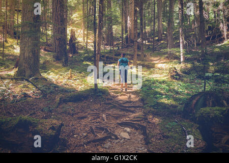 Weibliche Wanderer auf der oberen Myra Falls Trail, Strathcona Provincial Park, Vancouver Island, British Columbia Stockfoto