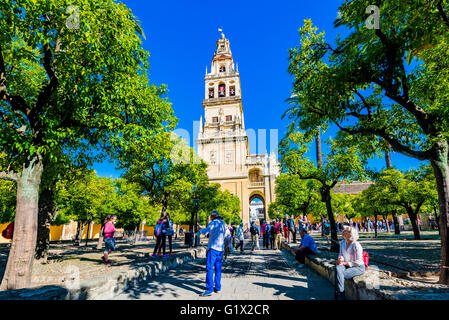 Der Glockenturm, genannt der Turm Alminar, gesehen vom Hof der Orange Bäume, Moschee-Kathedrale von Córdoba, Andalusien Stockfoto