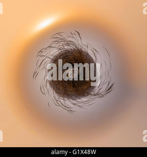 Planet der kalten nebligen Morgen Sonnenaufgang Landschaft über Grass Warmton. Kleine Planeten mit Rasen, Ökologie-Konzept. Winzige Erde plan Stockfoto