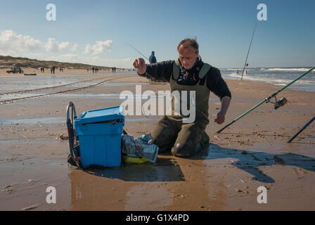 Fischer in Watvögel kniete auf dem nassen Sand Strand der Nordsee, in der Nähe von Kühlbox, entwirren seine Angelschnur mit baumelnden Winkel Stockfoto