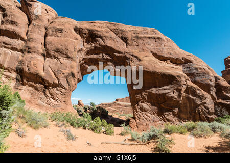 Natürlichen Bogen Pine Tree Arch, Arches-Nationalpark, Moab, Utah, USA Stockfoto