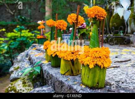 Aufgereiht Blumen Opfern, Blumenarrangement mit Weihrauch, Mount Phousi, Louangphabang Provinz, Provinz Luang Prabang, Laos Stockfoto