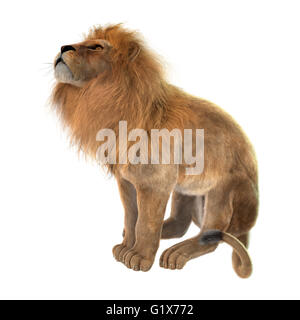 3D-Rendering eines männlichen Löwen sitzen isoliert auf weißem Hintergrund Stockfoto