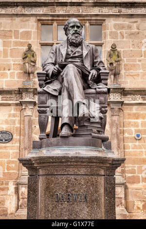 Bronzestatue der Naturforscher Charles Darwin außerhalb der Schule, die er besucht, die jetzt eine Bibliothek in Shrewsbury, Shropshire, England. Stockfoto