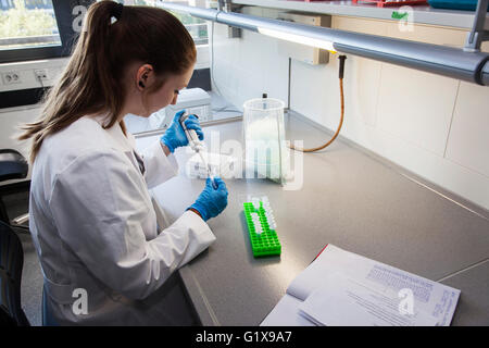 Wissenschaftlicher Mitarbeiter im Genetik-Labor pipettieren. Stockfoto