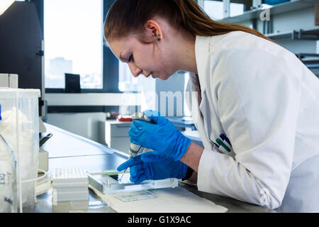 Wissenschaftlicher Mitarbeiter im Genetik-Labor pipettieren. Stockfoto