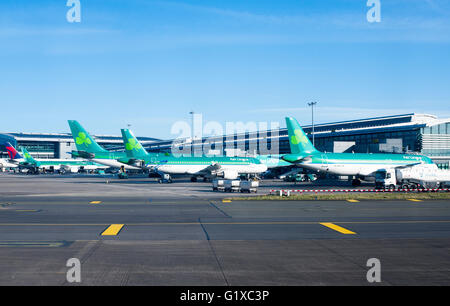 Dublin, Irland - 1. Februar 2015: Aer Lingus Flugzeuge aufgereiht am Terminal 2 am Flughafen Dublin Irland Stockfoto