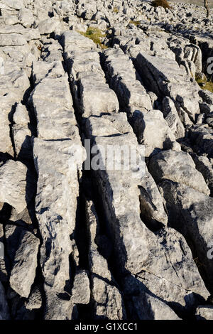 Kalkstein Pflastersteine auf Skalen Moor über Ingleton in West Yorkshire. Stockfoto