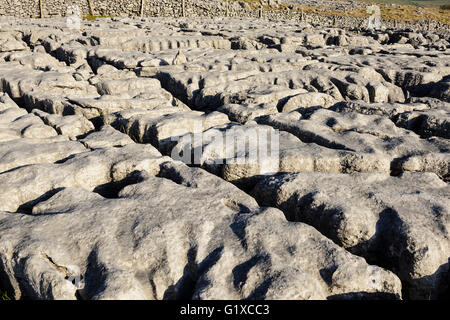 Kalkstein Pflastersteine auf Skalen Moor über Ingleton in West Yorkshire. Stockfoto