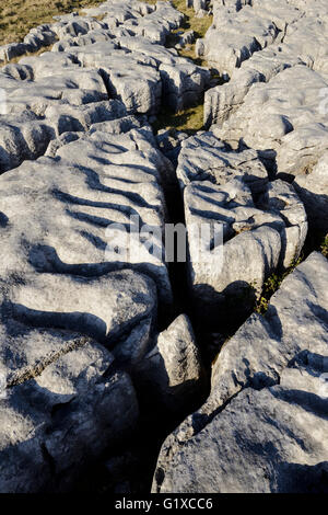 Kalkstein Pflastersteine auf Skalen Moor über Ingleton in West Yorkshire. Stockfoto