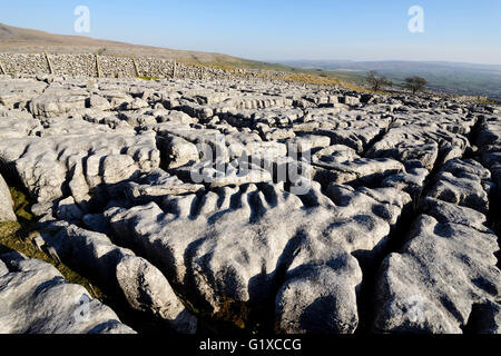 Kalkstein Pflastersteine auf Skalen Moor über Ingleton in West Yorkshire. Stockfoto