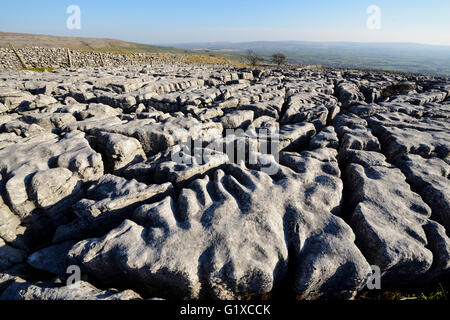 Kalkstein Pflastersteine auf Skalen Moor über Ingleton in West Yorkshire. Stockfoto