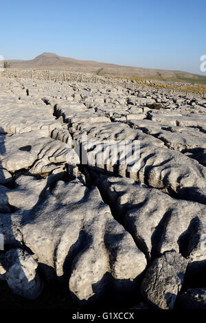 Kalkstein Pflastersteine auf Skalen Moor über Ingleton in West Yorkshire. Stockfoto