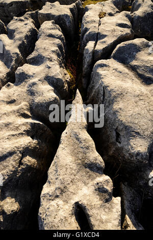 Kalkstein Pflastersteine auf Skalen Moor über Ingleton in West Yorkshire. Stockfoto