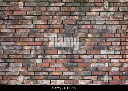 Hintergrund der nahtlose Brickwall-Textur Stockfoto