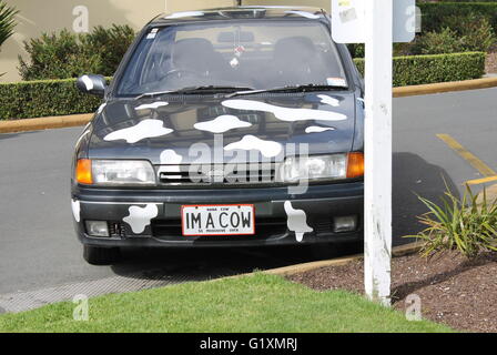 Auto mit Kuh-Platten Stockfoto