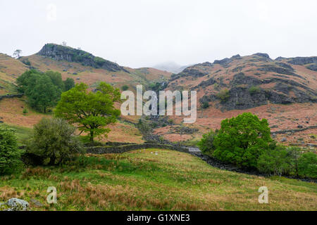 Ansicht von Sauermilch Gill in der Nähe von Grasmere im Lake District Nationalpark Stockfoto