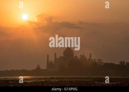 Taj Mahal in Agra, Indien. Ein Bild im nebligen Morgen vom Fluss Yamuna, Stockfoto