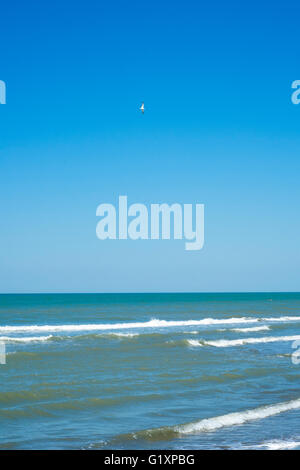 Möwen fliegen über das Meer, blauer Himmel Stockfoto