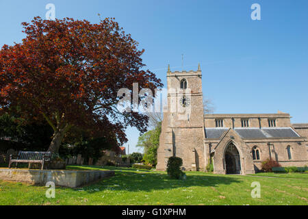 Pfarrkirche St. Peter und Paul, Kirche Warsop in Nottinghamshire, England UK Stockfoto