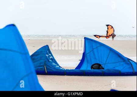 Kitesurfer wieder aus dem Wasser an einem windigen Tag in St. Augustine, Florida an einem fast leeren Strand in der Nähe von Matanzas Inlet. USA. Stockfoto