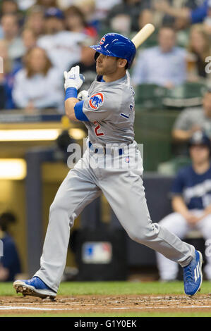 Milwaukee, WI, USA. 18. Mai 2016. Chicago Cubs Dritter Basisspieler Tommy La Stella #2 in Aktion während der Major League Baseball Spiel zwischen den Milwaukee Brewers und den Chicago Cubs im Miller Park in Milwaukee, Wisconsin. John Fisher/CSM/Alamy Live-Nachrichten Stockfoto