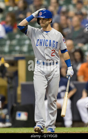 Milwaukee, WI, USA. 18. Mai 2016. Chicago Cubs Dritter Basisspieler Tommy La Stella #2 Schritte auf die Platte in der Major League Baseball Game zwischen den Milwaukee Brewers und den Chicago Cubs im Miller Park in Milwaukee, Wisconsin. John Fisher/CSM/Alamy Live-Nachrichten Stockfoto