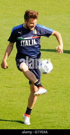 Florenz, Italien. 20. Mai 2016. Die italienischen Herren-Fußball-Nationalmannschaft trainieren mit Trainer Antonio Conte an der Spitze. Ciro Immobile (Torino) © Aktion Plus Sport/Alamy Live-Nachrichten Stockfoto