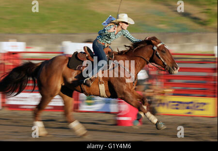 Surrey, Kanada. 20. Mai 2016. Eine Cowgirl konkurriert in Faßlaufen Wettbewerb während der Cloverdale Rodeo in Surrey, Kanada, 20. Mai 2016. Mehr als 95 Cowboys und Cowgirls konkurrieren ihre Fahrkünste beim 70. Cloverdale Rodeo in Surrey, Kanada. Cloverdale Rodeo ist eines der größten und am längsten laufende Rodeo-Veranstaltung in Nordamerika. Bildnachweis: Liang Sen/Xinhua/Alamy Live-Nachrichten Stockfoto